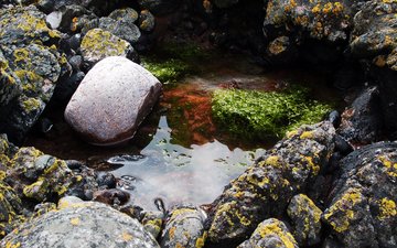 вода, скалы, камни, мох, лужа, водоросли, отражения отражений