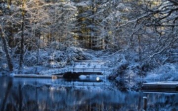 деревья, вода, озеро, снег, зима, мост
