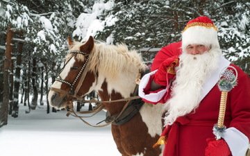 лошадь, новый год, лес, зима, дед мороз, праздник, великий устюг