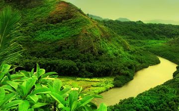 деревья, река, горы, зелень, пейзаж, гора, растительность, тропички