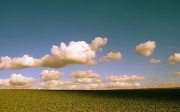 облака, поле, цвет