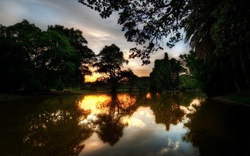 деревья, река, закат, отражение