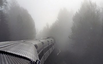 туман, поезд, вагоны