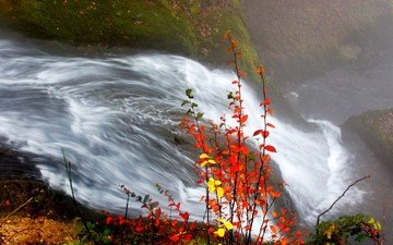 река, листья, водопад, осень