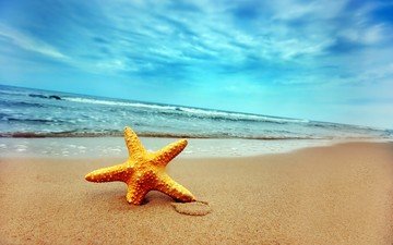 берег, волны, песок, звезда