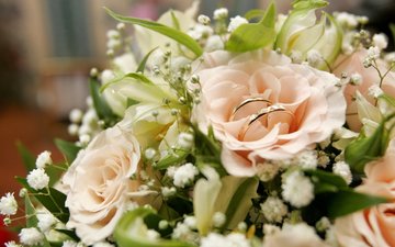 розы, букет, свадьба, обручальные кольца