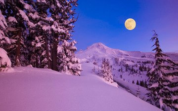 ночь, деревья, горы, снег, природа, зима, луна, зимние обои, леса, месяц