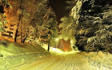 дорога, деревья, фонари, снег, зима