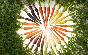 еда, морковь, изобилие цвета