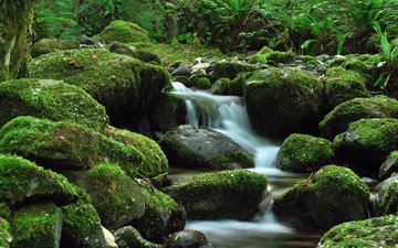 камни, зелень, ручей, водопад