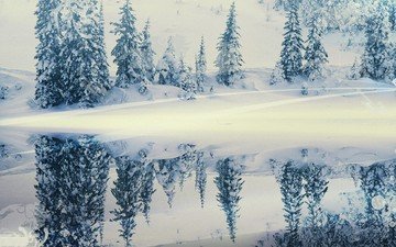 снег, зима, отражение, елки