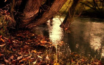 полосы, вода, озеро, река, природа, полоски, осень, желтые опавшие листья