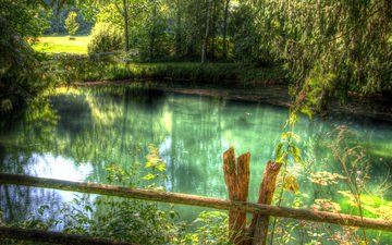 трава, вода, озеро, река, природа, зелень, цвета, лес, зелёный, отражение, забор