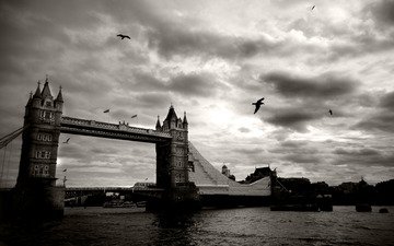 небо, облака, река, мост, великобритания, лондон, темза, город, птицы, чёрно-белый, тауэрский мост
