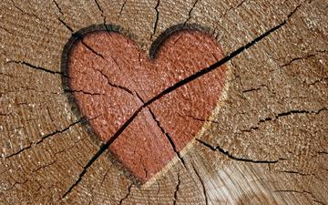 дерево, сердце, трещины