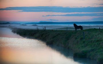 лошадь, вода, озеро, река, животные, туман, пейзажи, лошади, дымка