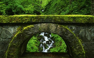 природа, зелень, зелёный, мост, водопад, мох, арка, заросли, каменный мост