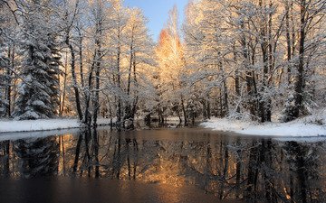 река, снег, лес, зима, корка, льда