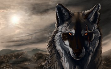 тень, неба, wolfroad