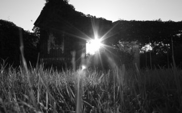 трава, солнце, дом