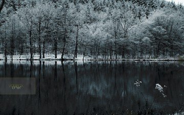 озеро, снег, лес, холод