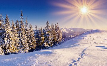 небо, горы, солнце, снег, лес, зима, следы