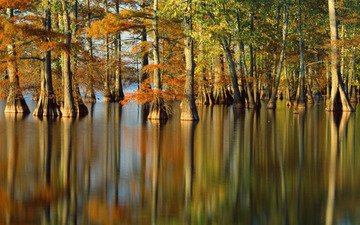 деревья, вода, река, природа, фото, осень, осенние обои
