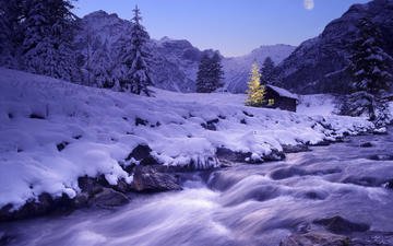 река, снег, елка, зима