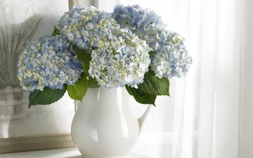 цветы, картина, букет, белые, ваза, голубые, чистота