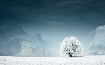 горы, снег, дерево, зима