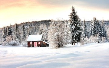 деревья, снег, лес, зима, домик, winter lodge