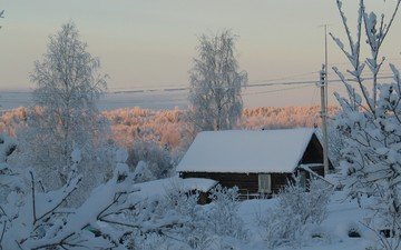деревья, снег, зима, дом