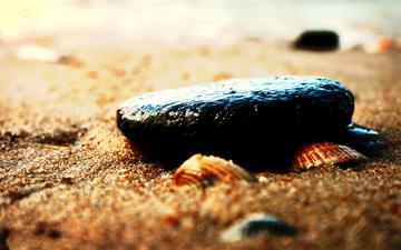 песок, пляж, камень, ракушки