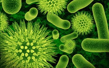 макро, микробы, бактерии