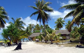 пляж, пальмы, французкая полинезия