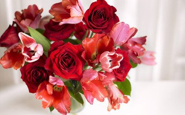 розы, весна, букет, тюльпаны