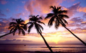 закат, море, пляж, пальмы