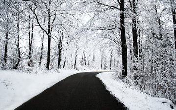 дорога, деревья, снег, зима, иней