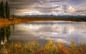 трава, облака, озеро, горы, природа, отражение, осень, пасмурно, национальный парк денали