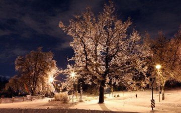 ночь, деревья, фонари, зима, парк, иней, знаки