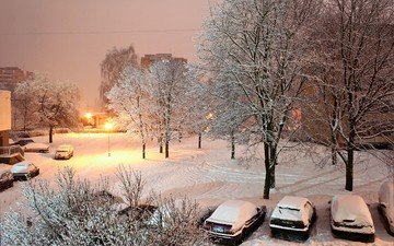 свет, деревья, фонари, снег, зима, авто, двор