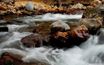 река, природа, камни, листья, осень