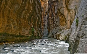 река, камни, скала, каньон, сша, ущелье, юта, национальный парк зион