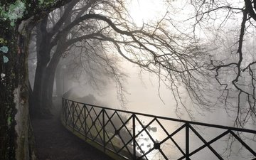 деревья, река, парк, туман, рассвет, забор