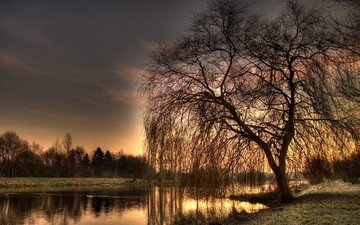 вечер, озеро, река, дерево, осень, ива