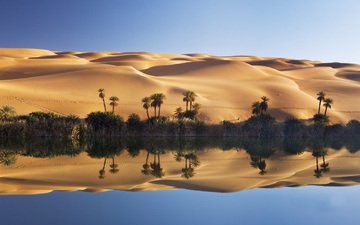 озеро, песок, пустыня, пальмы, дюны, сахара, оазис, ливия