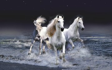 небо, лошадь, вода, волны, белые, лошади, кони, грива, бег, копыта