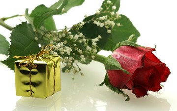 цветы, роза, подарок, гипсофила