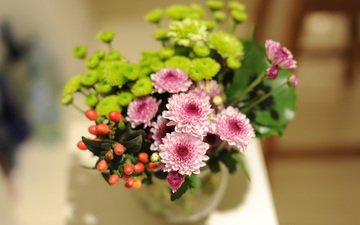 цветы, букет, хризантемы
