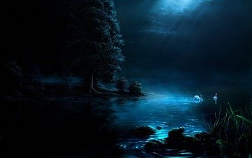 ночь, озеро, лебедь